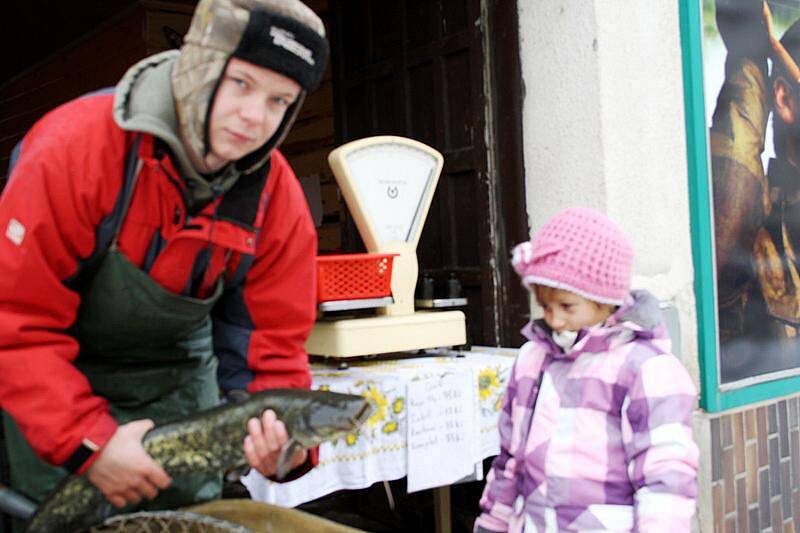 Kromě kaprů letos koupíte v Nymburce a Poděbradech na vánoční stůl také štiku, amura či sumce