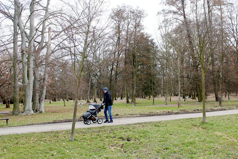 Neumannovy sady v Poděbradech.