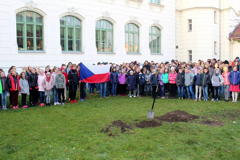 U Gymnázia Bohumila Hrabala roste od pondělí 22. října Lípa republiky.