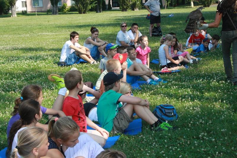 Na příměstském táboře v DDM Symfonie v Poděbradech s děti seznámily zblízka s dravými ptáky.