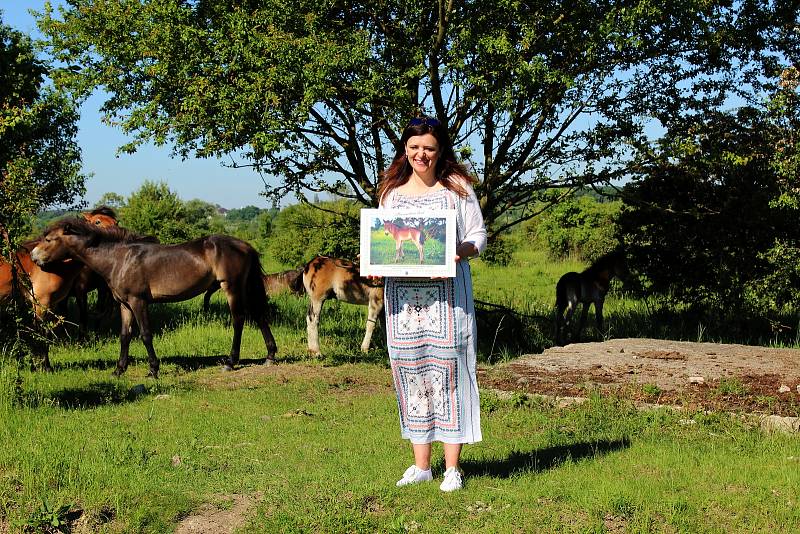 Hříbě divokého koně dostalo jméno po slovanském bohu blahobytu - Krodo. Hříbě v neděli pokřtila hejtmanka Středočeského kraje Jaroslava Pokorná Jermanová.