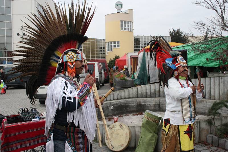 Výstava Exotika 2016 v Lysé nad Labem.