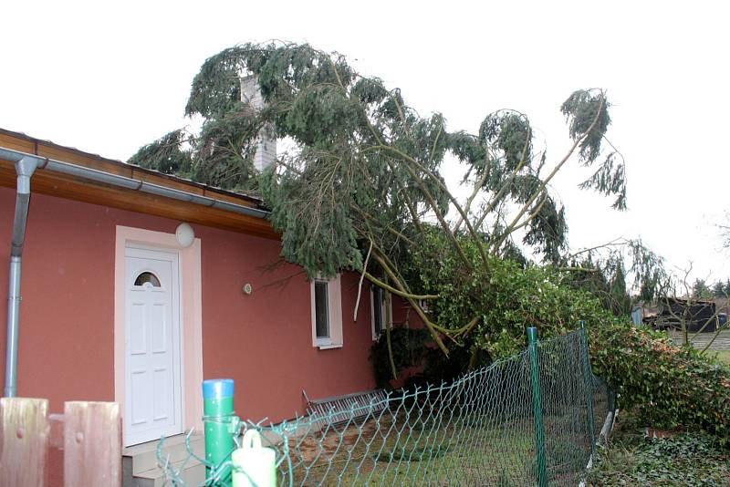 Strom spadlý na dům v Sadské.