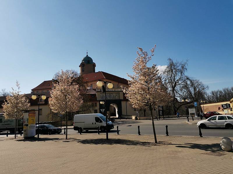 Náměstí, ulice i park rozkvetly. Foto: Ružena Wagnerová