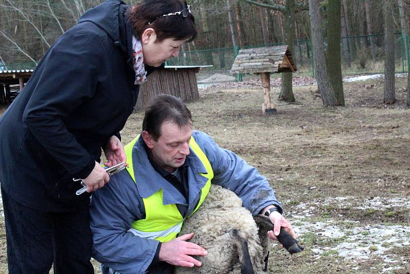 Odsouzený Petr Hokynář složil v Jiřicích zkoušku v oboru chovatel.