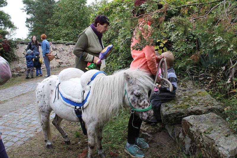 Dožínkovou slavnost V zámku a v podzámčí uspořádalo Polabské muzeum společně s obcí Přerov nad Labem a majitelem zámku Českým rozhlasem už tradičně ve skanzenu a přilehlém zámku.