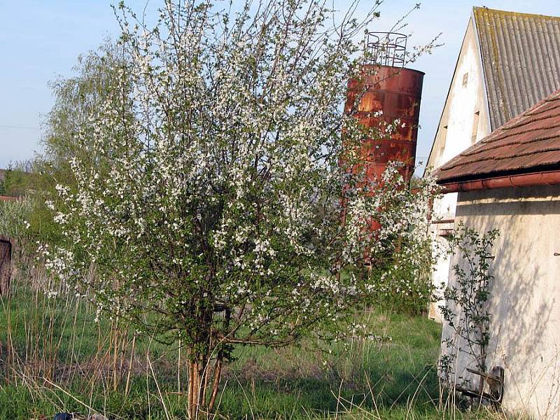 Poznejte vesničku z dnešních detailů