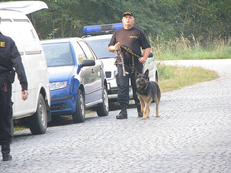 Pátrací akce v lese u Milovic