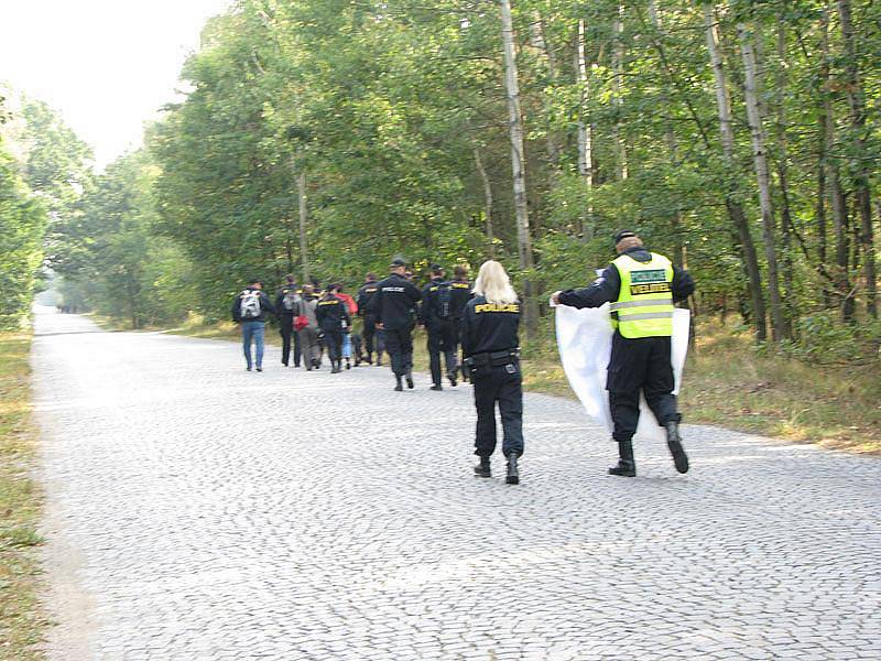 Pátrací akce v lese u Milovic