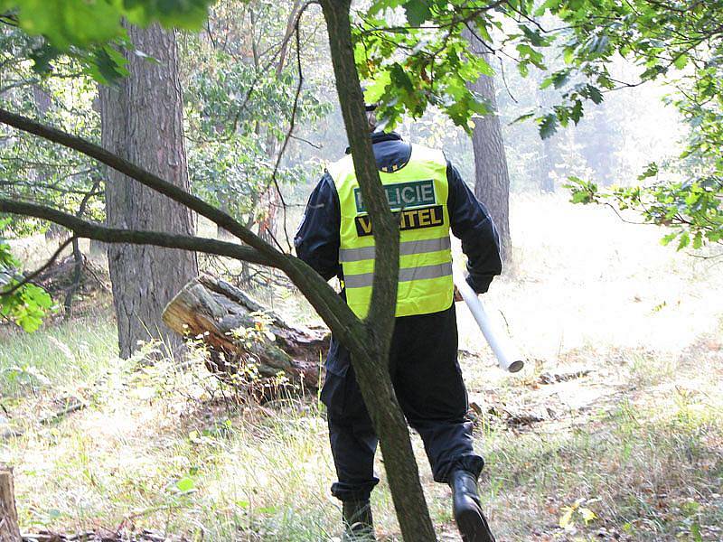 Pátrací akce v lese u Milovic