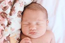 Nikol Černá se narodila v nymburské porodnici 21. března 2022 v 22:47 hodin s váhou 3460 g a mírou 46 cm. Prvorozená holčička bude bydlet ve Třech Dvorech s maminkou Pavlínou a tatínkem Jiřím.
