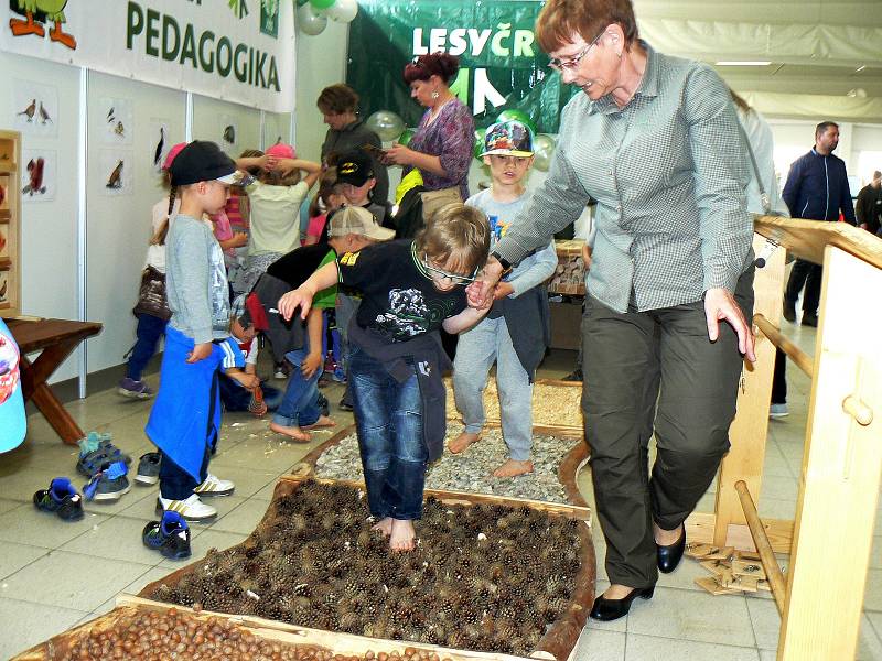 Jedna z každoročně nejnavštěvovanějších výstav v Lysé nad Labem Natura Viva byla slavnostně zahájena.