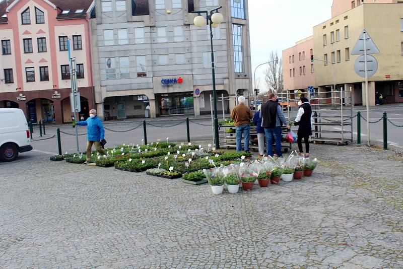 Farmářské trhy na náměstí Přemyslovců v Nymburce.