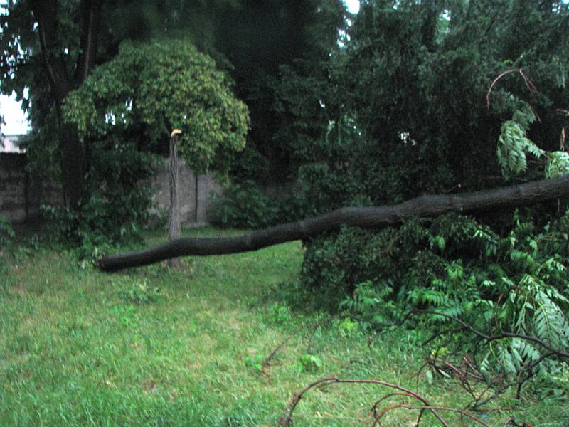 Zlomený strom po bouři v poděbradské Jiráskově ulici.