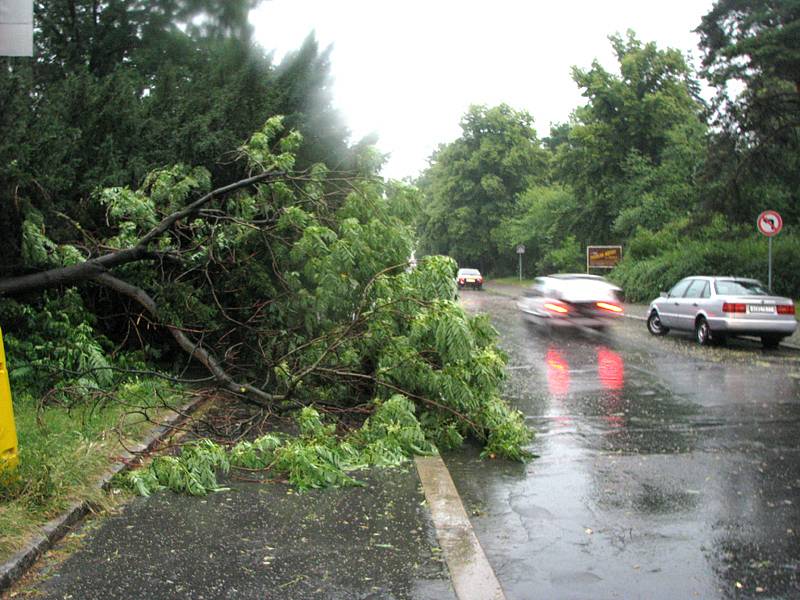 Zlomený strom po bouři v poděbradské Jiráskově ulici.