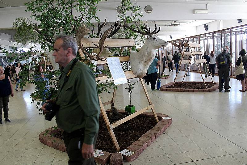 Z poslední výstavy Natura Viva, která se uskutečnila v roce 2019.