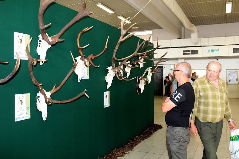 Až do neděle potrvá na lyském výstavišti Natura Viva.