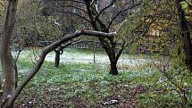 Ve srovnání s posledními lety přišlo první sněžení do Nymburka dříve. V noci na sobotu 19. listopadu 2022 zasypal poprašek město a k ránu pár hodin při teplotách pod nulou držel.