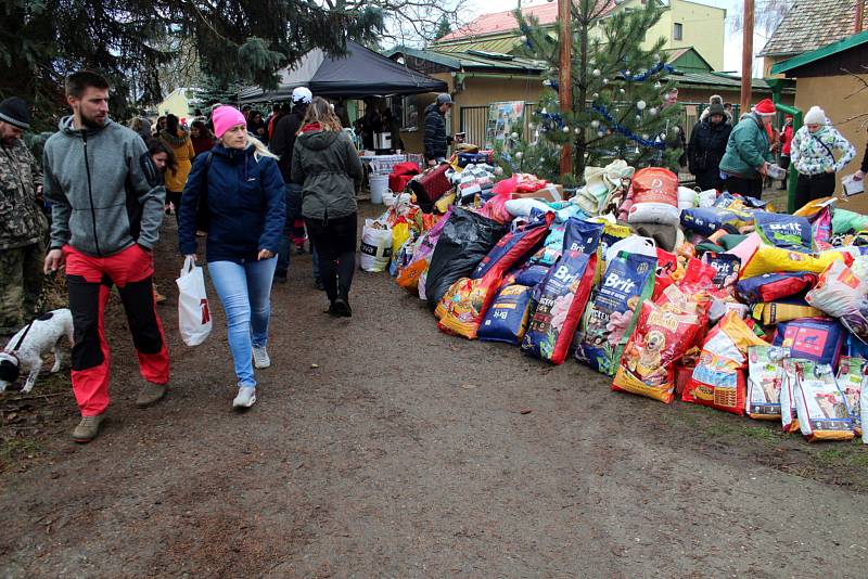 Opuštění psi v lyském útulku dostali nadílku na Štědrý den dopoledne.