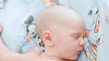 Jasmína Janků se narodila v nymburské porodnici 19. června 2022 v 18:49 hodin s váhou 2970 g a mírou 49 cm. Prvorozenou holčičku v Nymburce očekávala maminka Barbora a tatínek David.