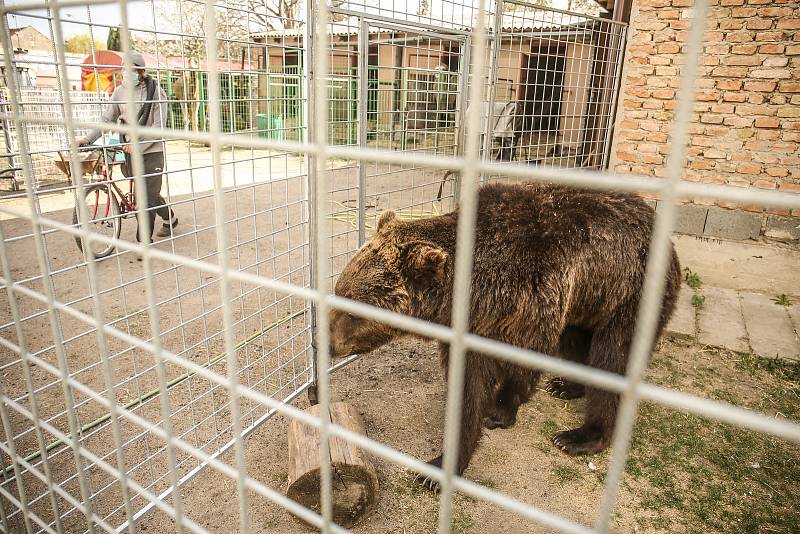 Zimoviště Cirkusu Humberto ve Staré Lysé na Nymbursku