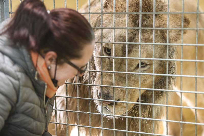 Zoo v Chlebech na Nymbursku ve středu 17. února 2021.