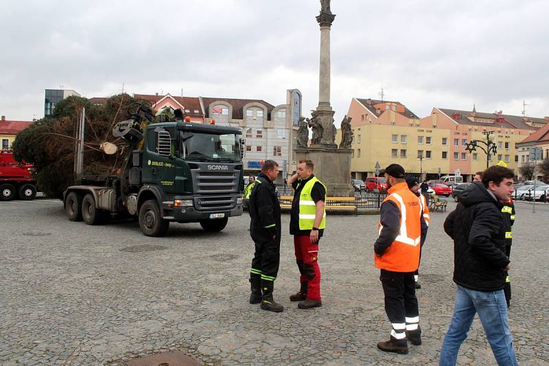 Na Nymburské náměstí dorazil v pondělí dopoledne Vánoční strom.