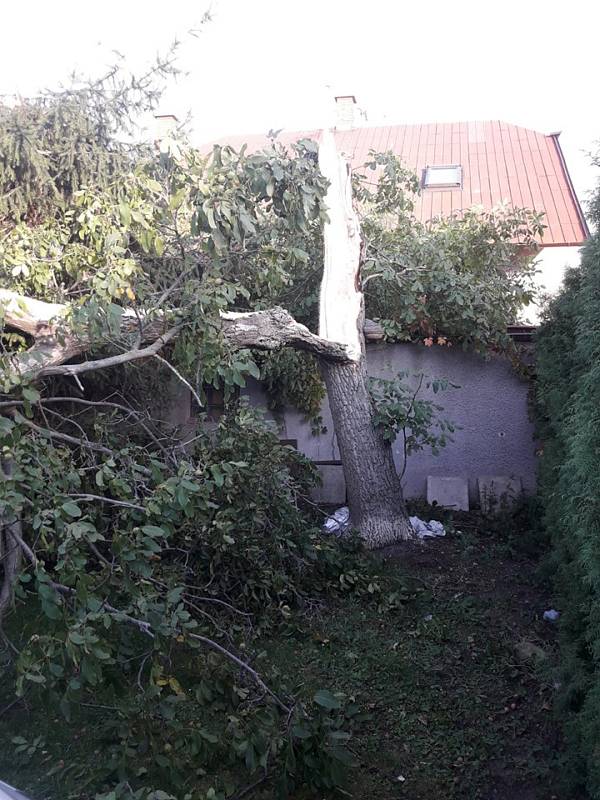 Jednotky HZS Poděbrady, Nymburk a SDH Velké Zboží vyjely k likvidaci stromu, který spadl na osobní automobil a částečně na dům.