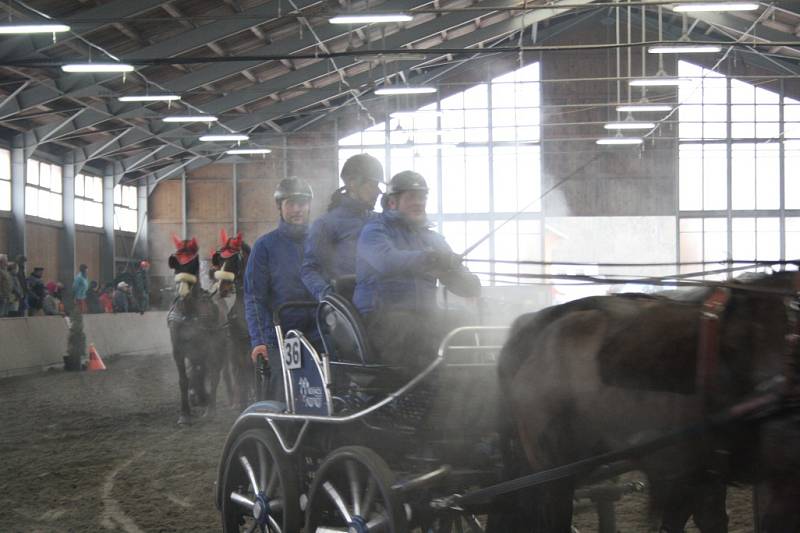 První závod Zimního jezdeckého poháru se odehrál v Hradištku.