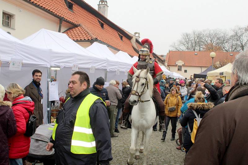 Ze Svatomartinských trhů v Poděbradech v sobotu 13. listopadu 2021.