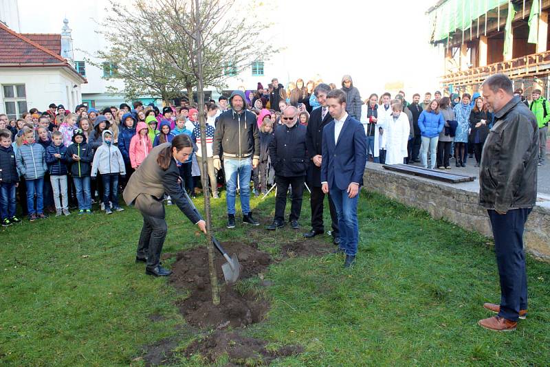 U Gymnázia Bohumila Hrabala roste od pondělí 22. října Lípa republiky.