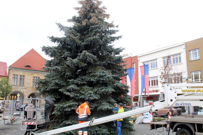 V pátek dorazil na nymburské náměstí letošní vánoční strom a v pondělí už kolem něj omotávají pracovníci technických služeb první výzdobu.