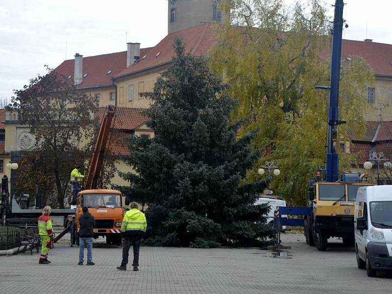 Příprava vánočního stromu v Poděbradech.