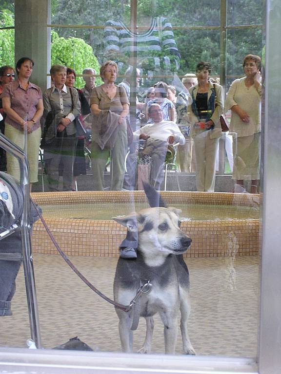 V Poděbradech zahájili lázeňskou sezónu