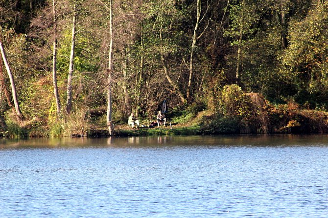 Jezero v Sadské.