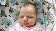 Anna Pietrová z Lysé nad Labem se narodila v nymburské porodnici 1. října 2021 v 0:32 hodin s váhou 3700 g a mírou 49 cm. Na holčičku se těšila maminka Petra, tatínek Václav a bráška Radek (2,5 roku).