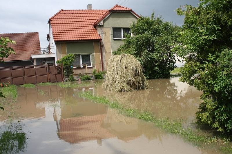 Rašovice v úterý