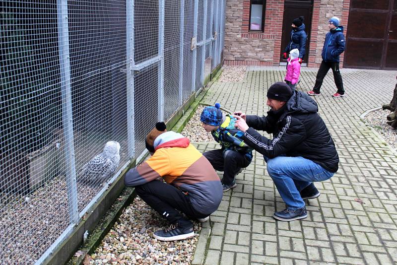 Na akci Vánoce zvířátek do Záchranné stanice na Huslíku dorazily stovky lidí s dobrotami.