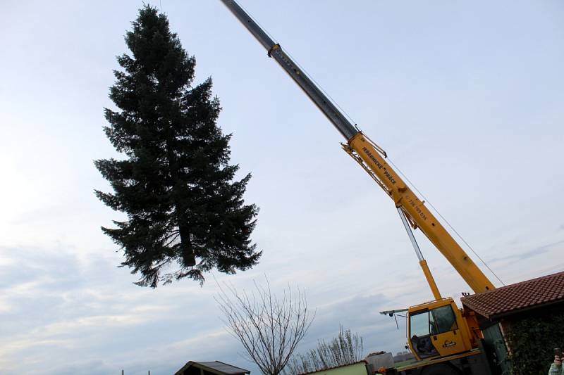 Nymburské náměstí zdobí Vánoční strom, který byl uříznut v Kovanicích. 