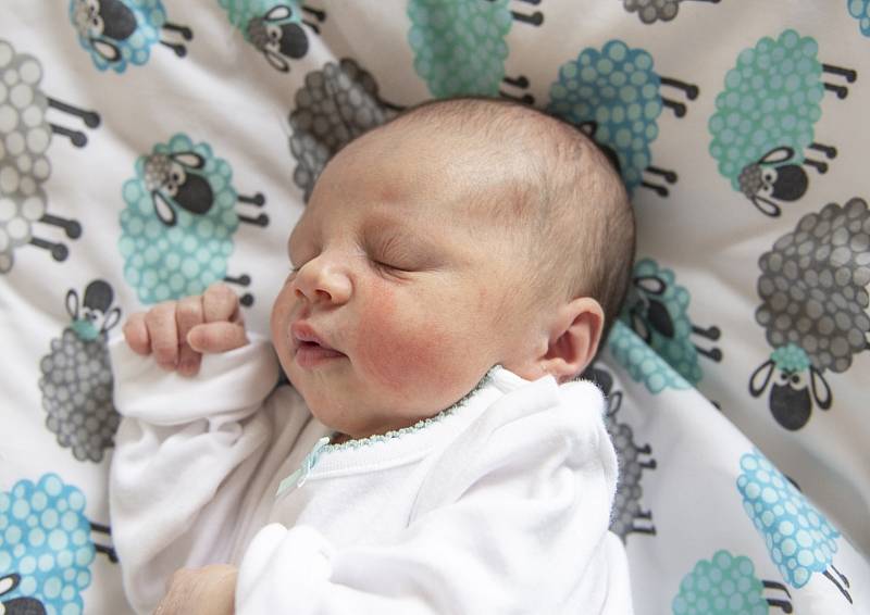 Emma Horbenko z Lysé nad Labem se narodila v nymburské porodnici 28. listopadu 2021 v 1:28 hodin s váhou 2830 g a mírou 45 cm. Domů pojede prvorozená holčička s maminkou Anastasiiou a tatínkem Pavlem. 