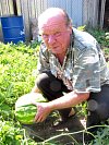 Na zahradě Jiřího Vrzala v Třebestovicích rostou až dvanáctikilové melouny!