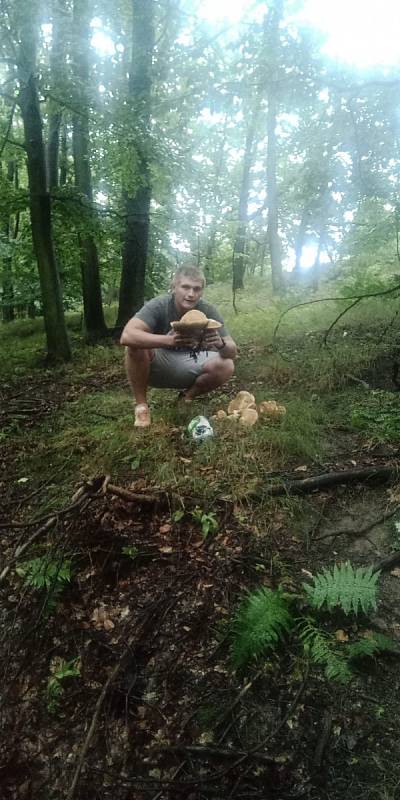 Fotografii svého houbařského úlovku z okolí Melče nám poslal Ondřej Pchálek.