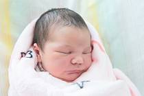 Milinia Mihai se narodila v nymburské porodnici 5. listopadu 2021 ve 22:15 s mírou 50 cm a váhou 3920 g. S rodiči Veronicou a Michailem a sestřičkou Michaelou (4) je doma v Nymburce.