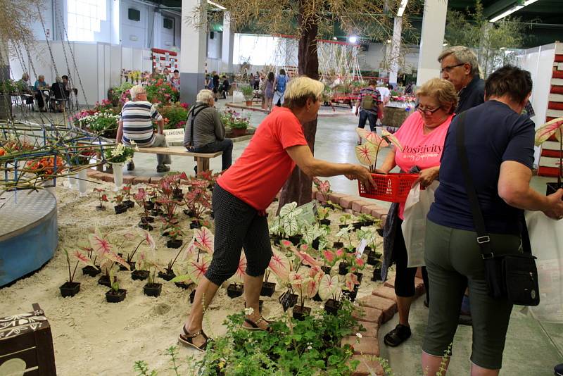 Na lyském výstavišti je k vidění až do neděle výstava Květy a Festival umění. Ve venkovních prostorách jsou připraveny pouťové atrakce.