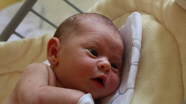DAVÍDEK I JÁRA. DAVID JAROSLAV HOŠTA se narodil 3. července 2017 v 2.33 hodin s mírami 3 630 g a 51 cm. Domů do Lysé nad Labem si ho radostně odvezli rodiče Lucie a David.
