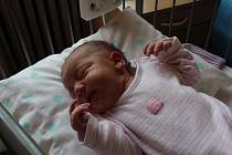 KAROLÍNKA BYLA PŘEKVAPENÍ. Karolína Štěpánová se narodila 24. října 2017 ve 12.07. Vážila 3 100 g a měřila 49 cm. Rodiče Michaela a Michal jsou z Běrunic.