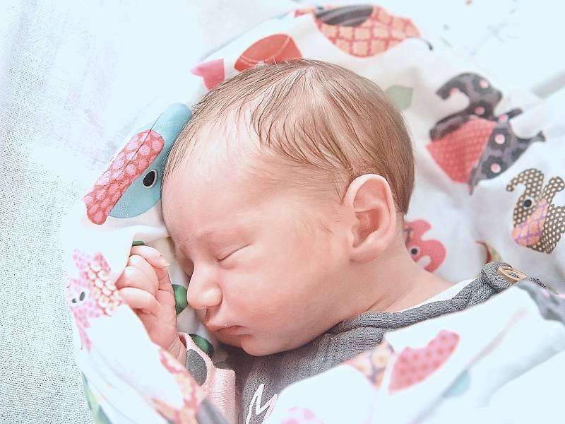 Emilly Vodičková se narodila v nymburské porodnici 16. září 2022 v 0:13 hodin s váhou 3240 g a mírou 49 cm. S maminkou Ivetou, tatínkem Jiřím, sestřičkou Merrily (8 let) a bráškou Petrem (6 let) bude holčička bydlet v Kolodějích.