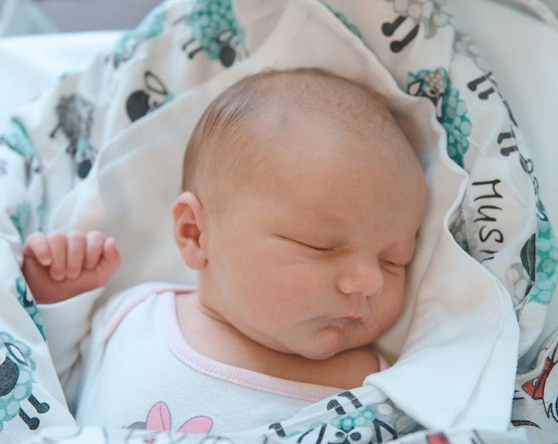 Vanesa Musilová ze Škvorce se narodila v nymburské porodnici 28. prosince 2021 v 2:21 hodin s váhou 3630 g a mírou 49 cm. Holčičku očekávala maminka Veronika, tatínek Jan a bráška Jáchym (2 roky).