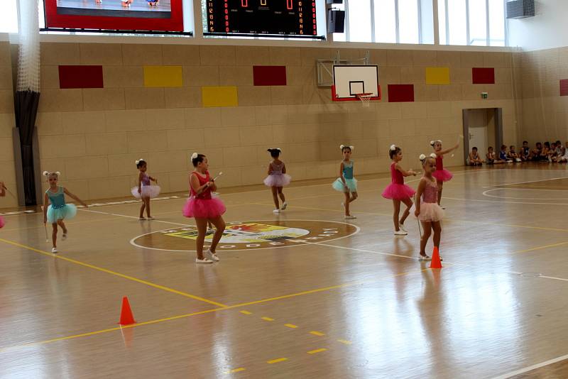 Sportovní hala byla otevřena před necelými dvěma lety. Nyní bude její střecha v rámci úspor osazena fotovoltaickými panely