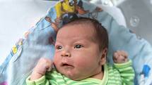 Veronika Haklová z Čelákovic se narodila v nymburské porodnici 1. listopadu 2021 ve 14:40 hodin s váhou 3580 g a mírou 49 cm. Holčičku očekávala maminka Jitka, tatínek Jan a bráška Antonín (5,5 roku).